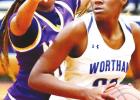 Lady Dogs fall to Marlin