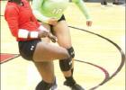 Ladycats finally begin district volleyball play