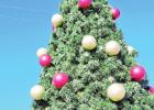 Tree-lighting kicks off Christmas in Mexia 