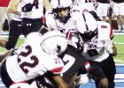 Cat fight: Mexia falls to West in a hard-fought bi-district battle