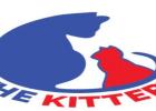 Cat adopters can help The Kittery win $100K from the Petco Foundation