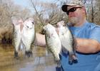 Texas guides offer up tips for catching late spring/summer slabs