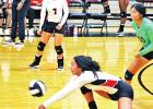 Ferris sweeps Ladycats in three sets